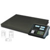 Floor Scale Series ZF A23p